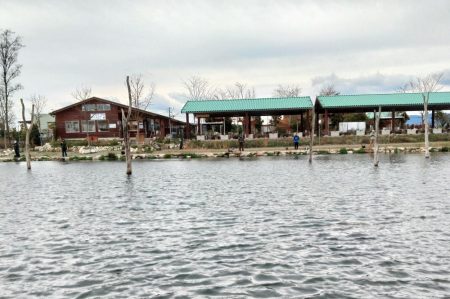 久しぶりのフィシングパーク高島の泉